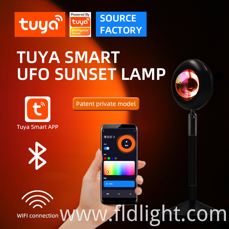 Atmosphere Lights Tuya smart life Remote Control 16 Colors 